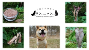 ワンさまニャンさま_いぬのまどぐち