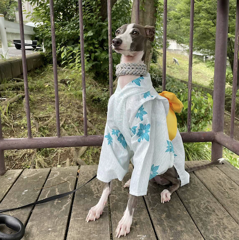 HAL様　専用ページ　　　オーダー④ はる様専用ページ 10 4様専用ページ HARU様オーダーページ ハル様