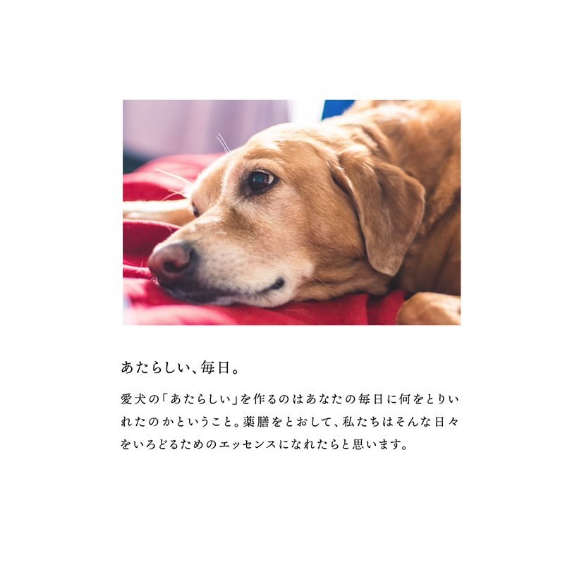 犬ノ薬膳 いぬのまどぐち