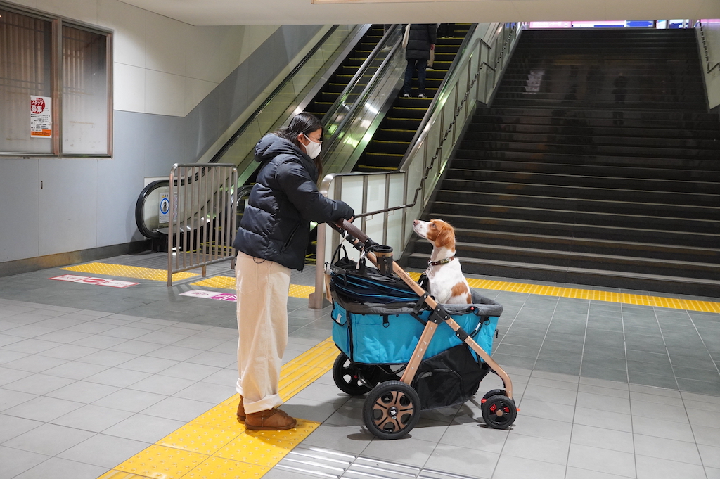 ペットバギー ぶんたママ様専用-