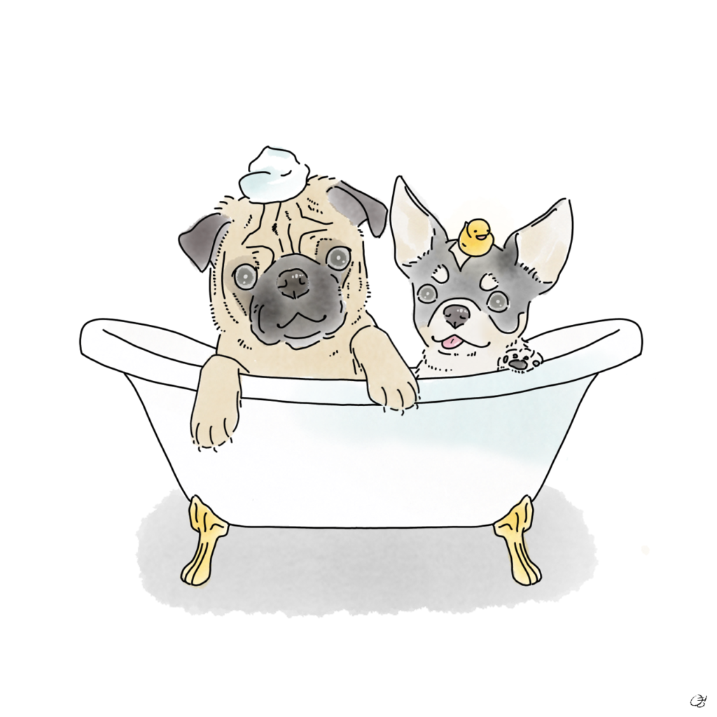 すもも はるか イラストレーター いぬのまどぐち